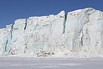 北极 冰山 冰川