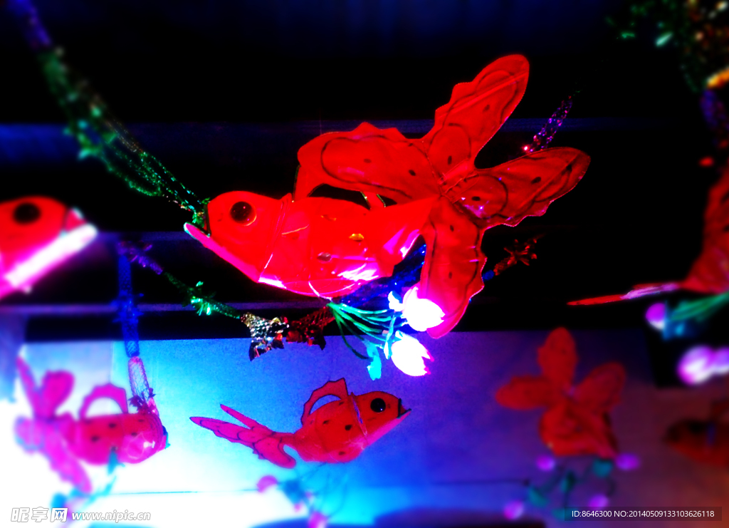 金魚燈