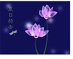 荷花