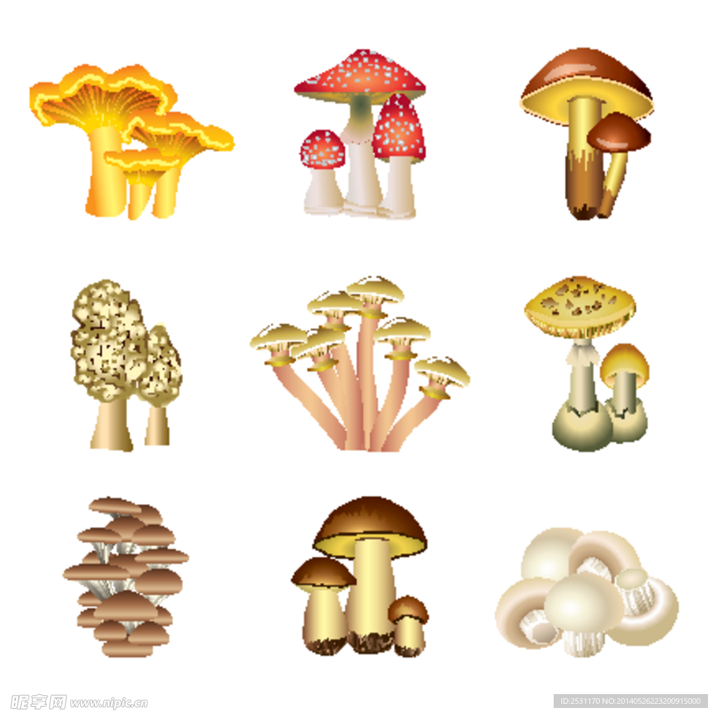 蘑菇