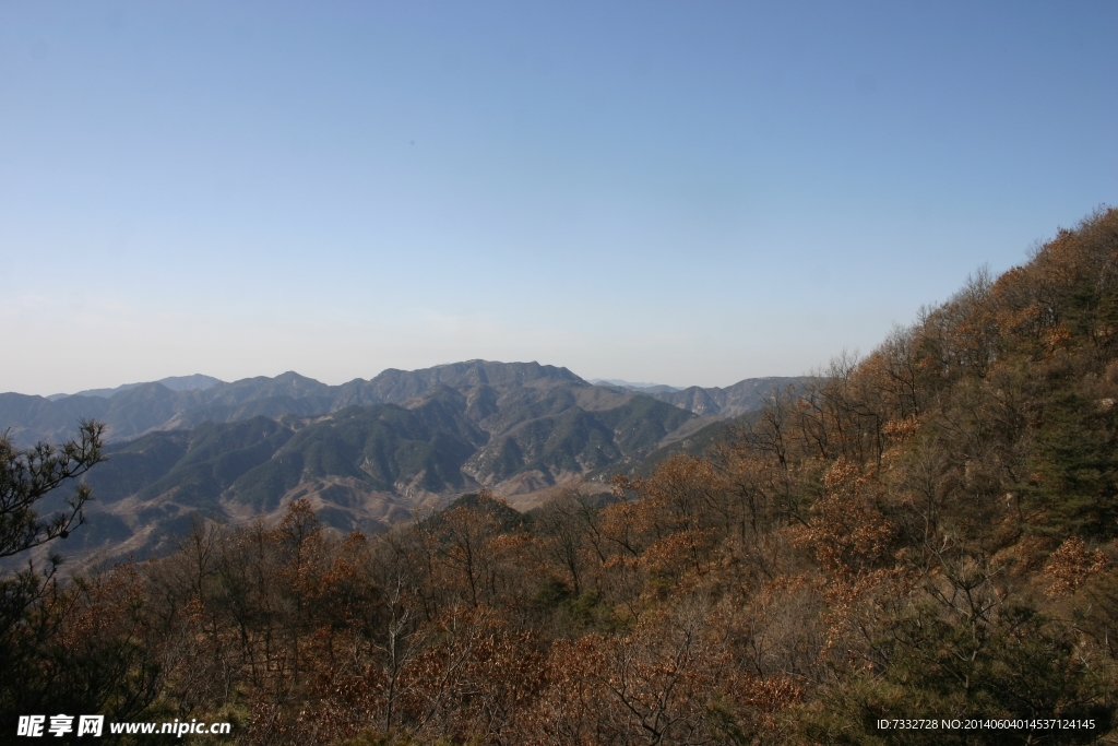 翠山秋色