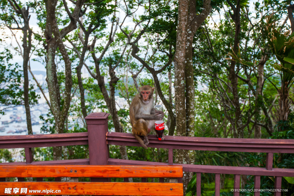 鹿回頭公園