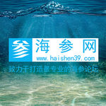 海参网logo
