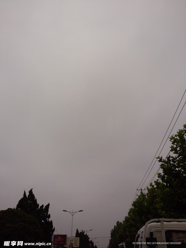天空樹葉
