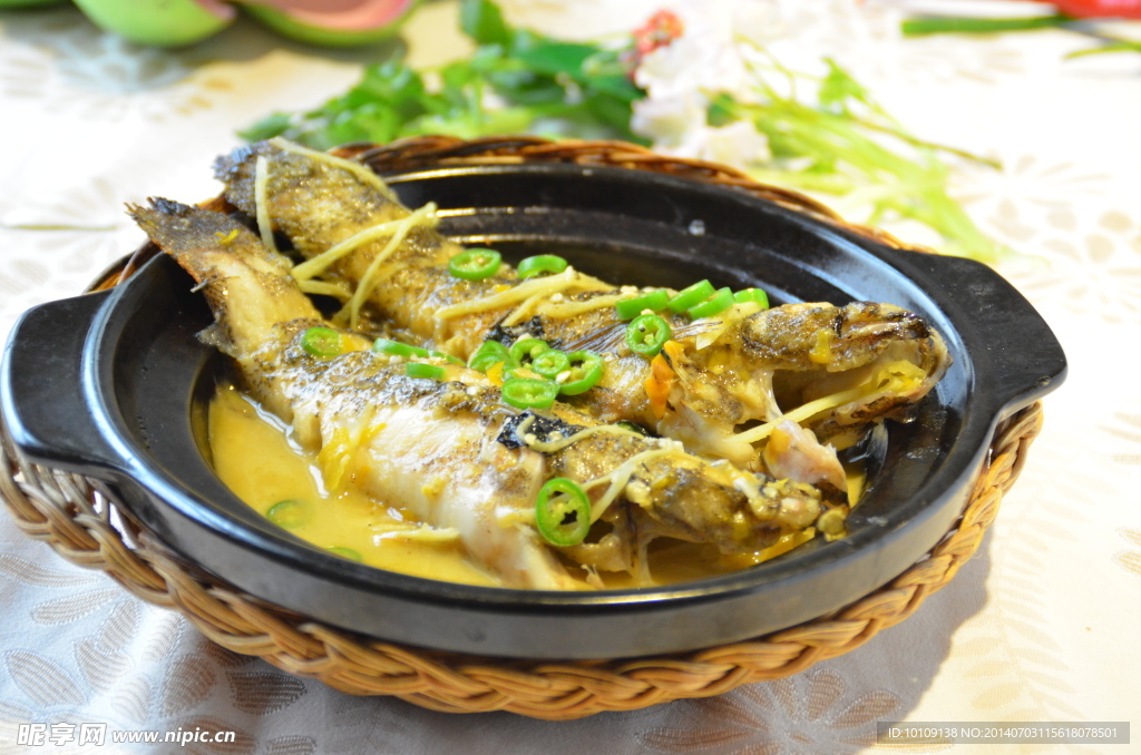 木奶奶魚