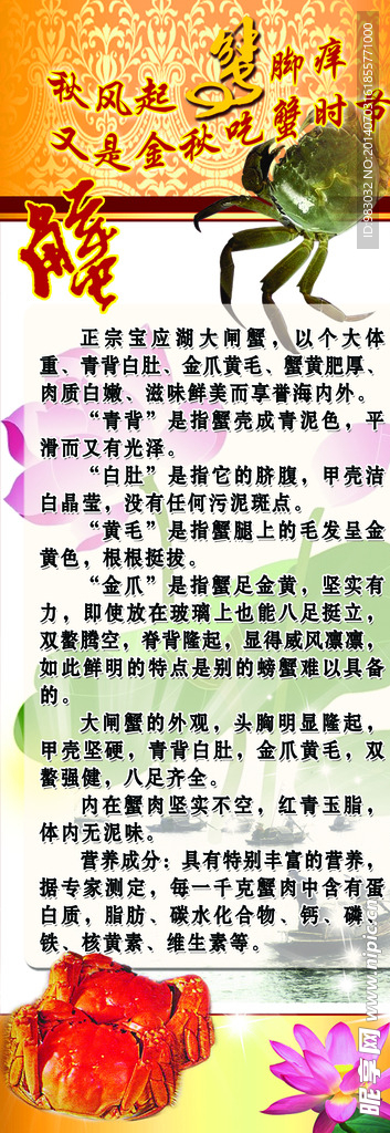 寶應(yīng)湖大閘蟹