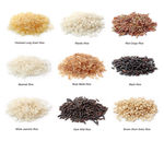 不同品种大米