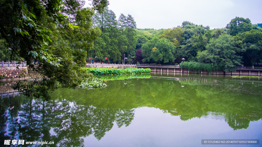 武漢大學(xué)