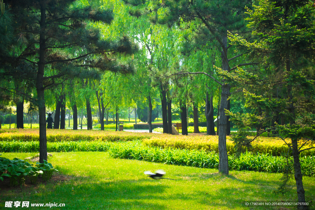 奧林匹克公園