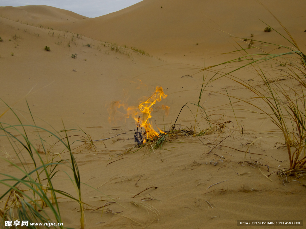 沙漠中的野火