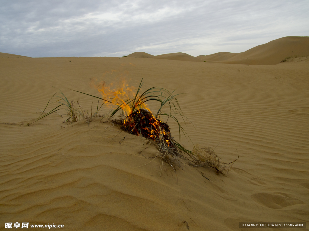 沙漠中的野火