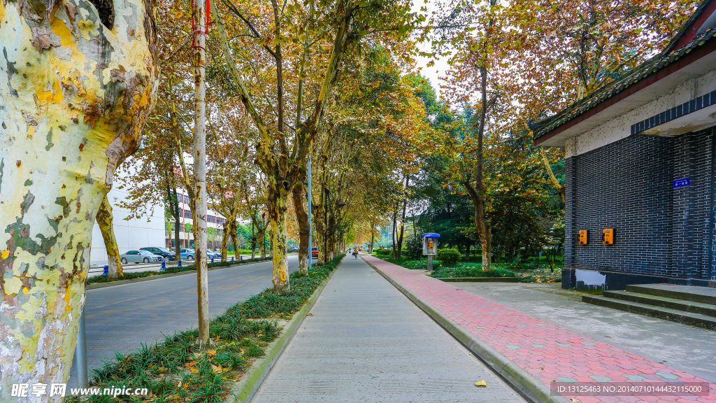 四川大學(xué)