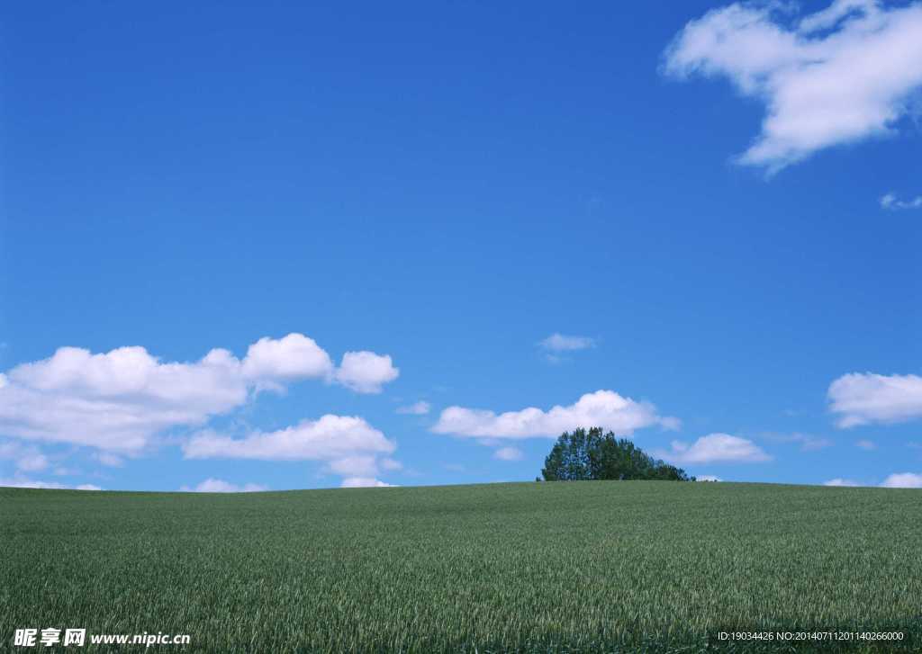 天空景觀