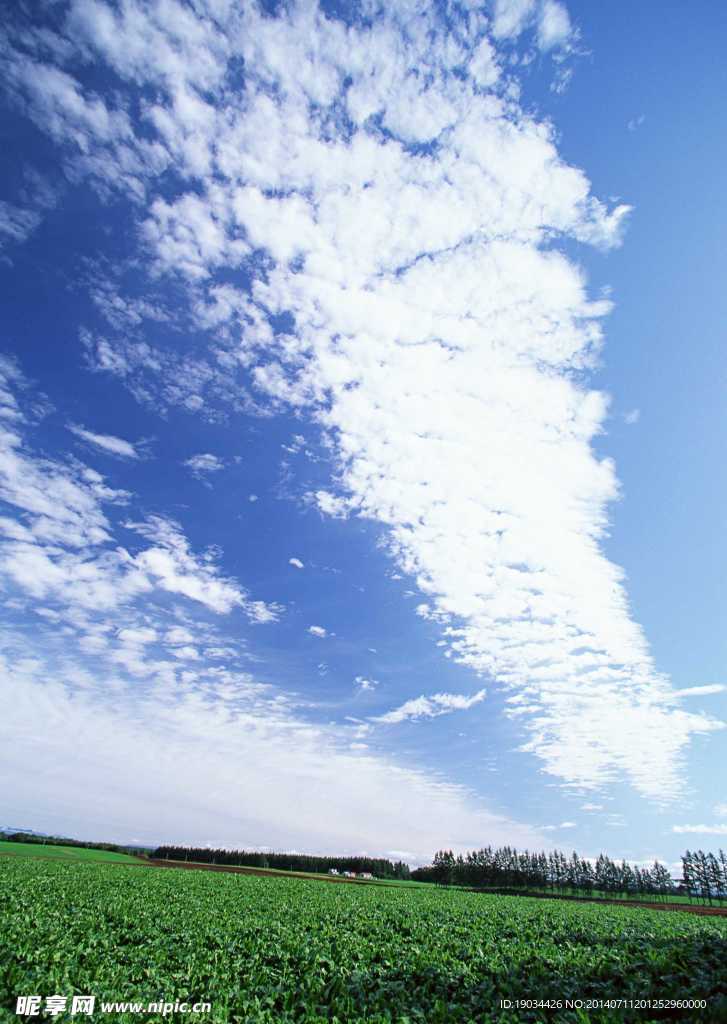 天空景觀