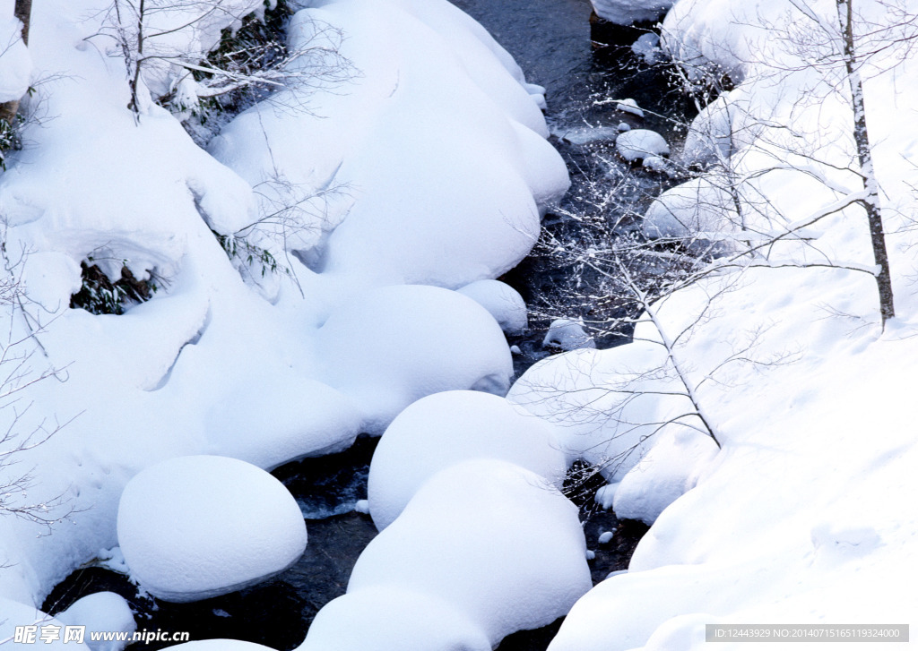 白雪