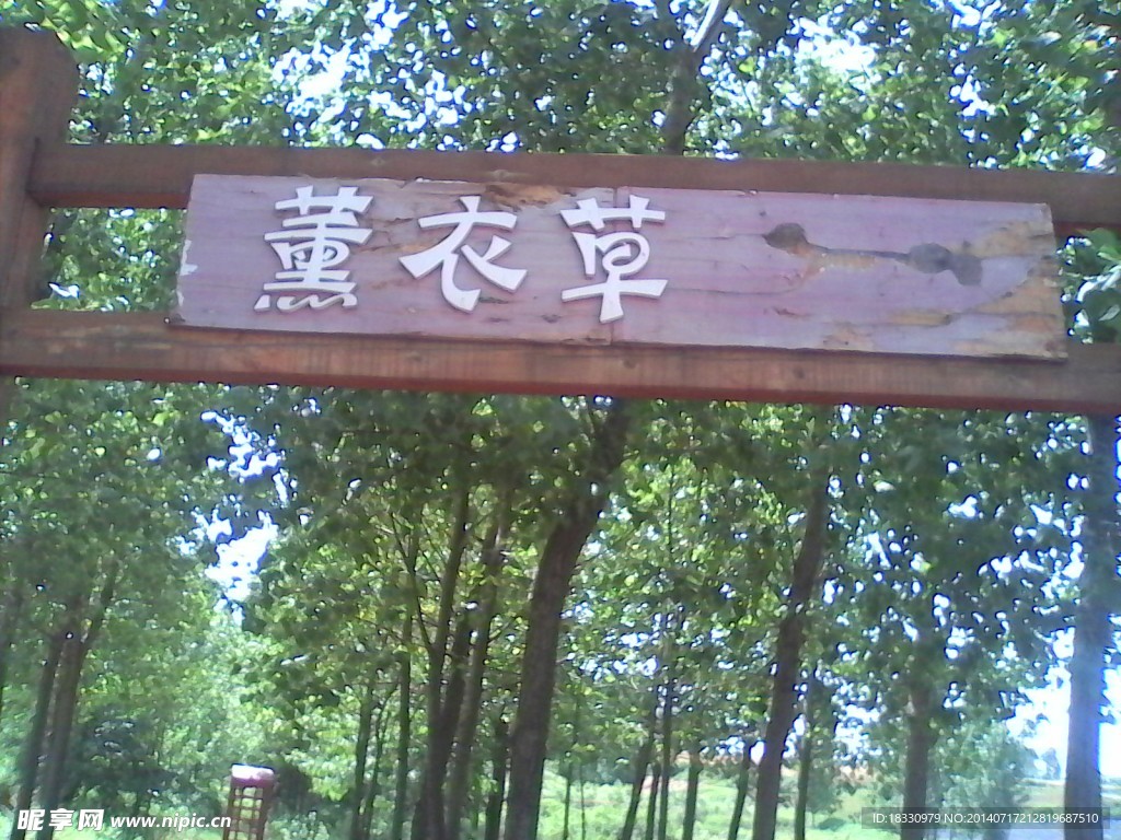 薰衣草莊園