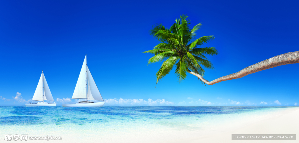 海滩椰树帆船