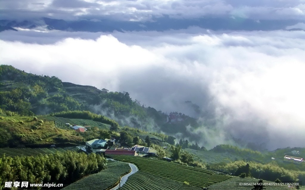 茶山
