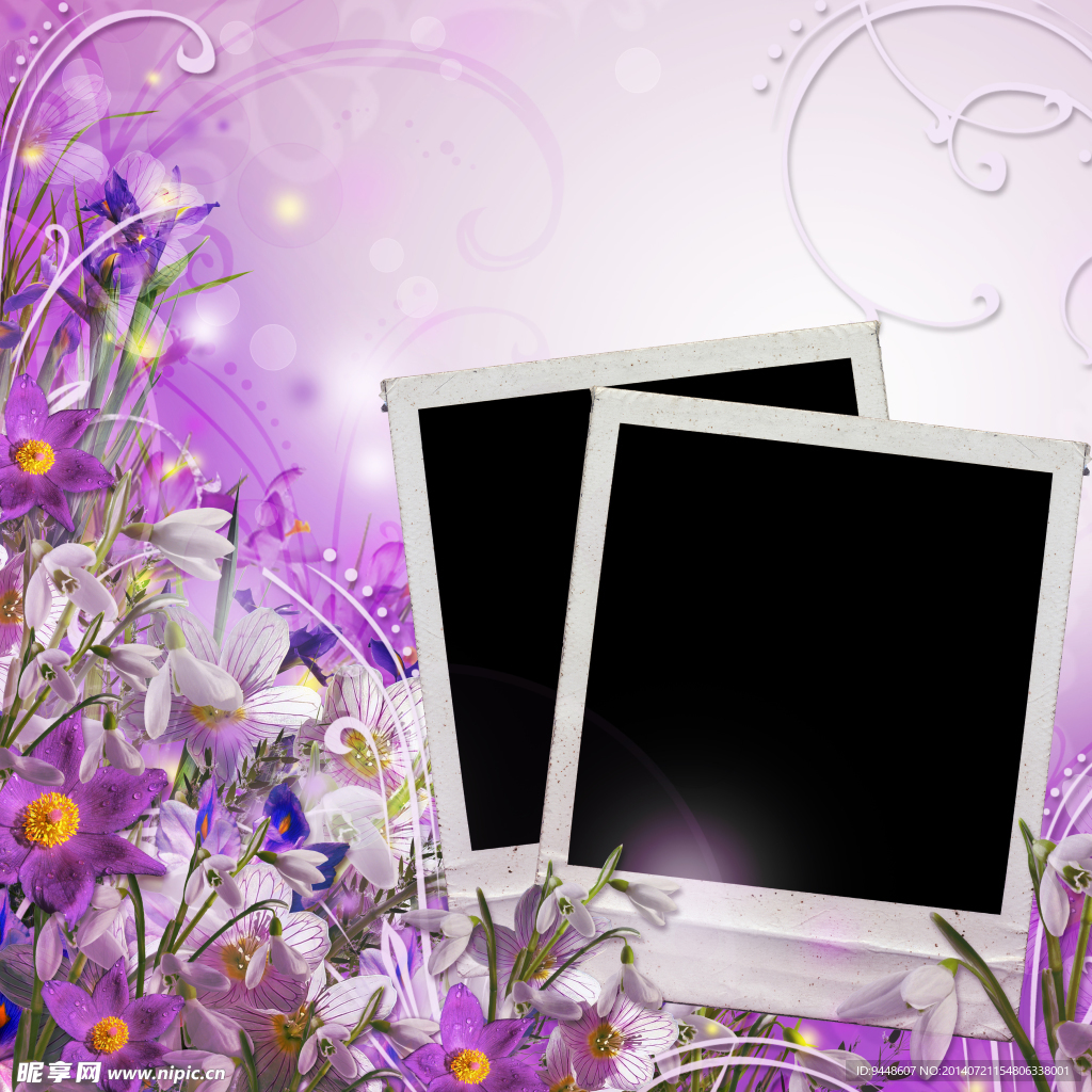 紫色花卉相框