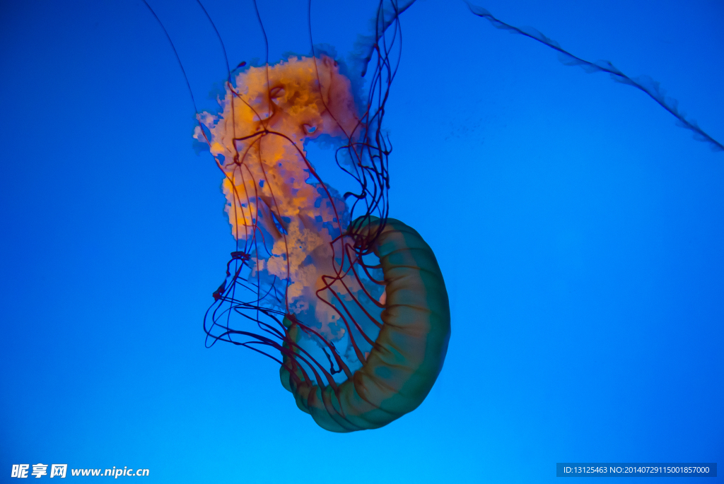 水族館