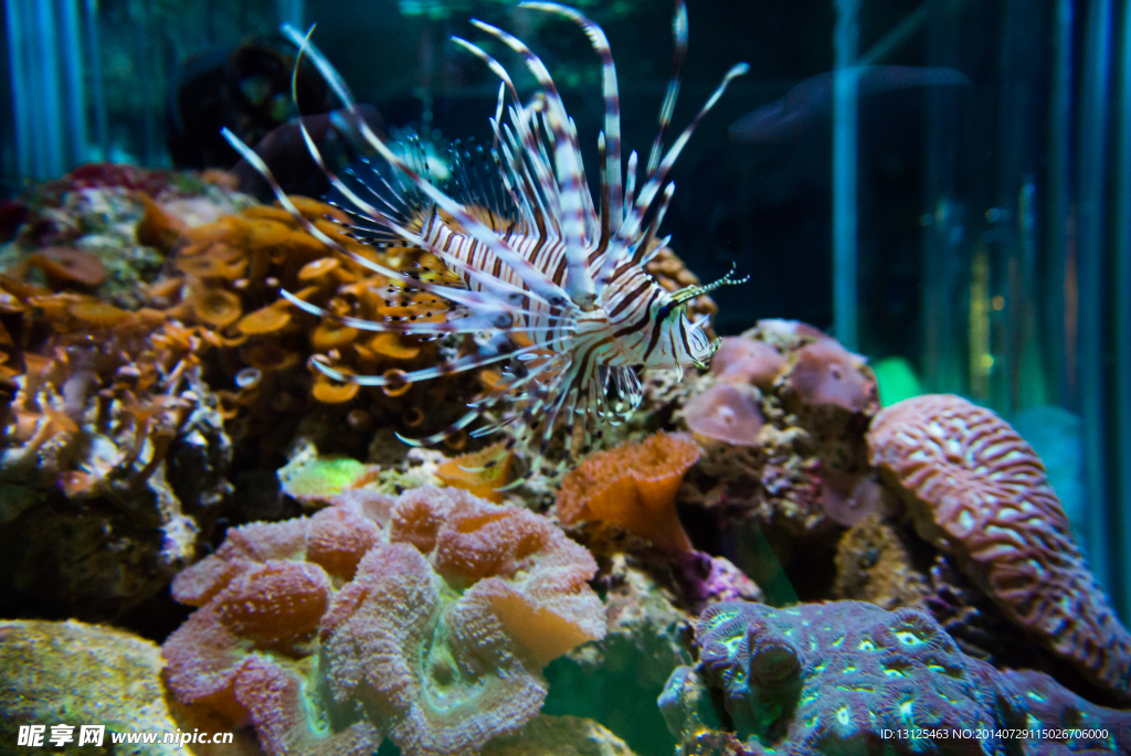 水族館