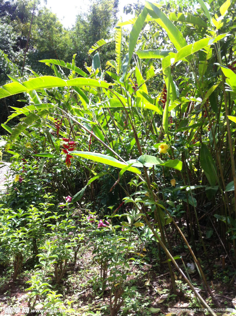 公園一角攝影