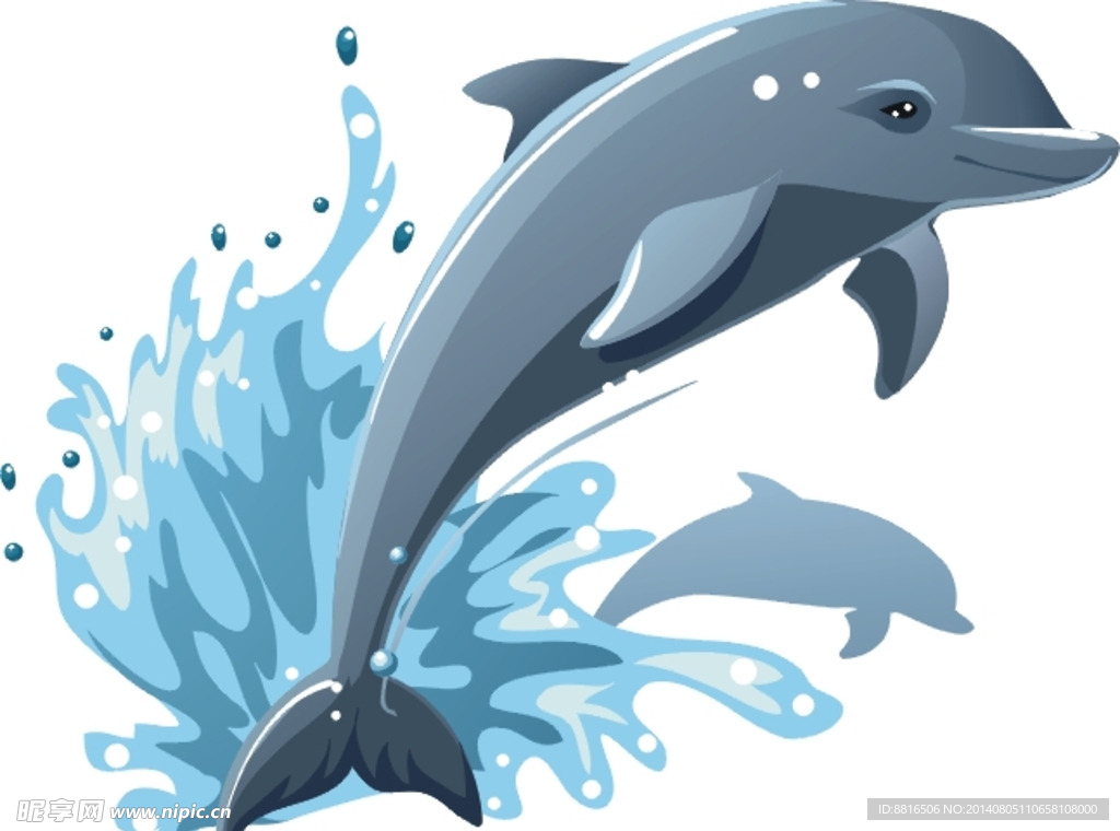 海豚