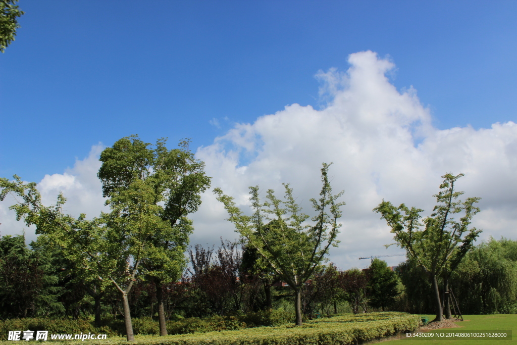 城市沙灘