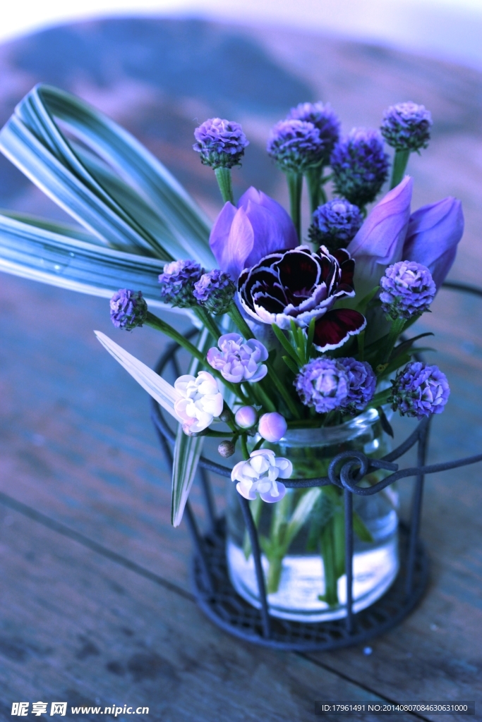 唯美丁香花