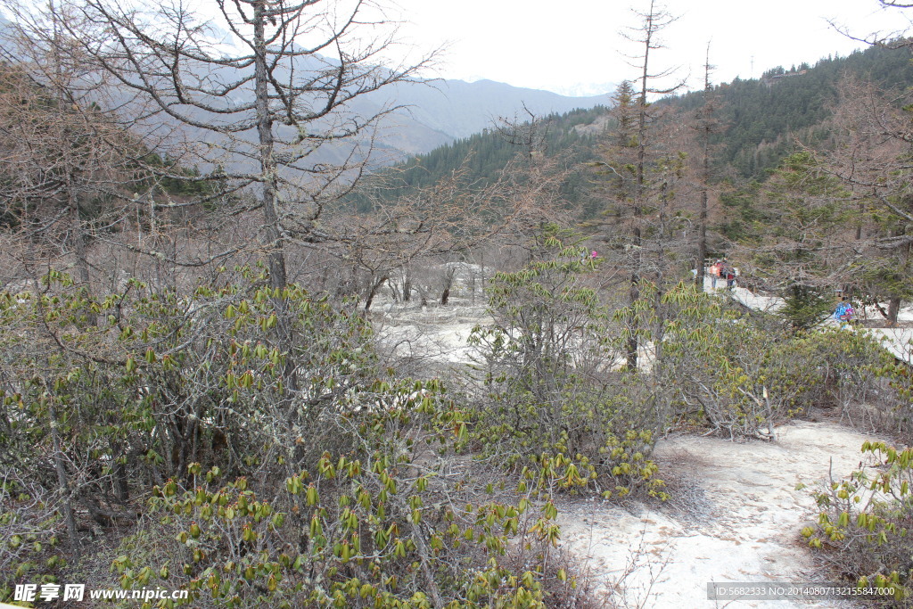 黃龍風景