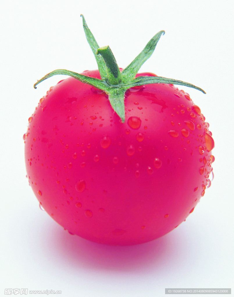 西紅柿   番茄   蔬菜