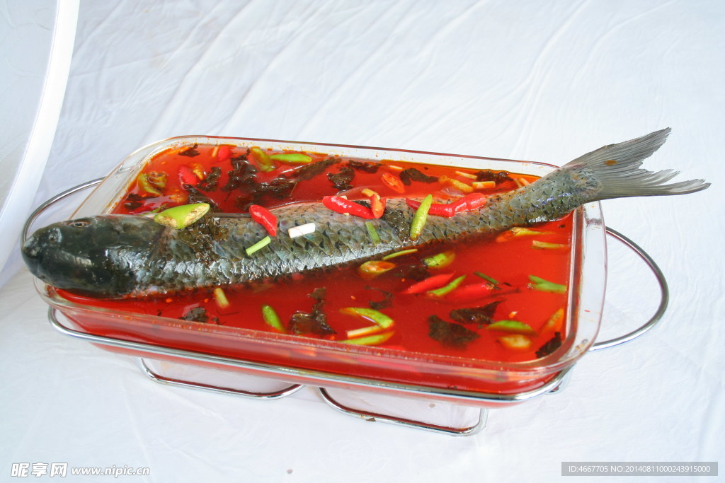 湘潭活水魚