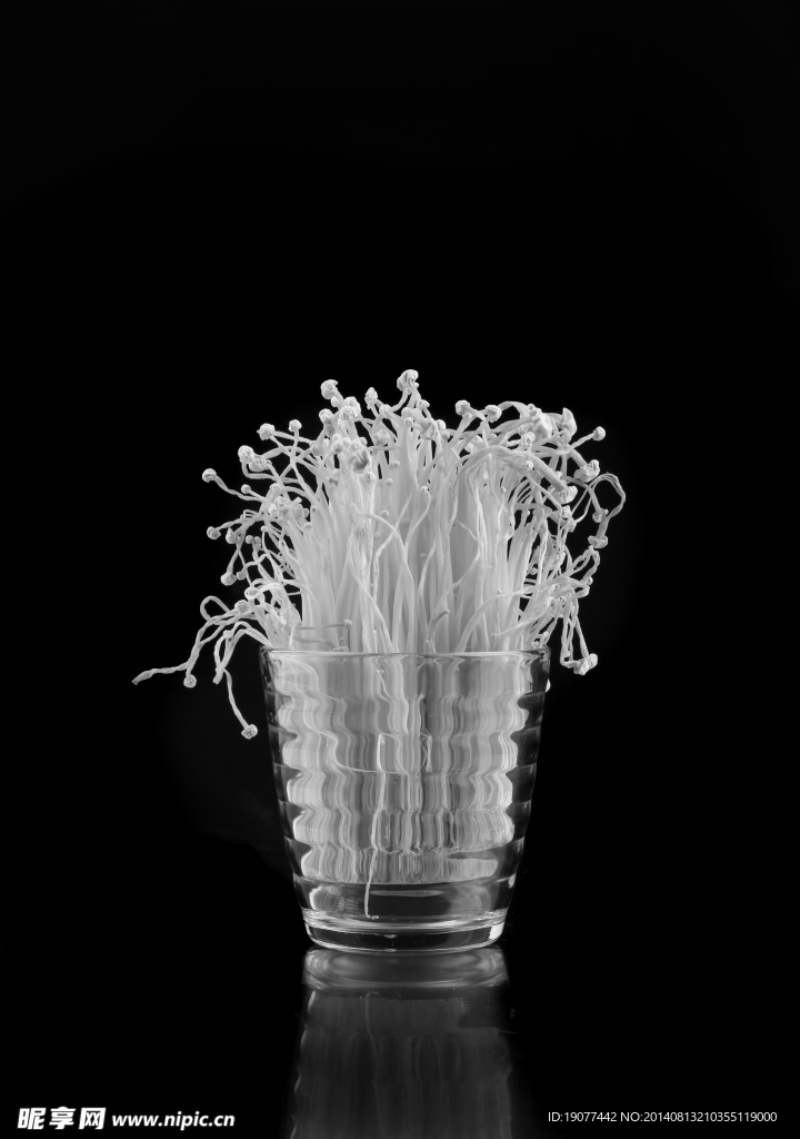 金針菇