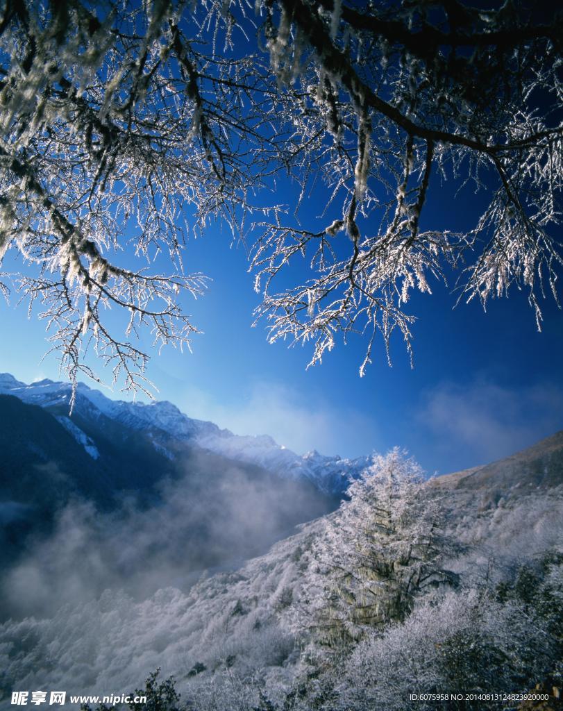 冬日山林雾凇雪景