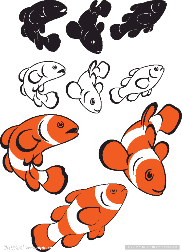 海洋生物
