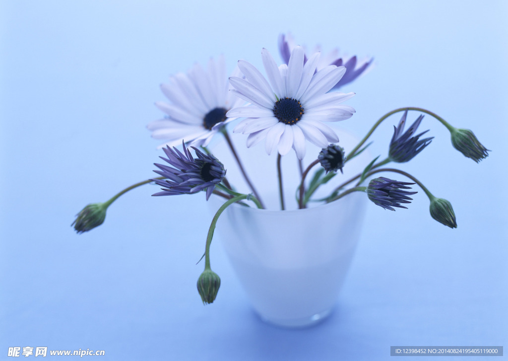 小白花