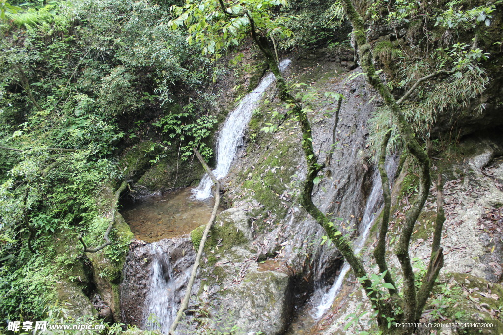 石上清泉