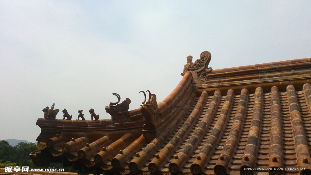 屋頂