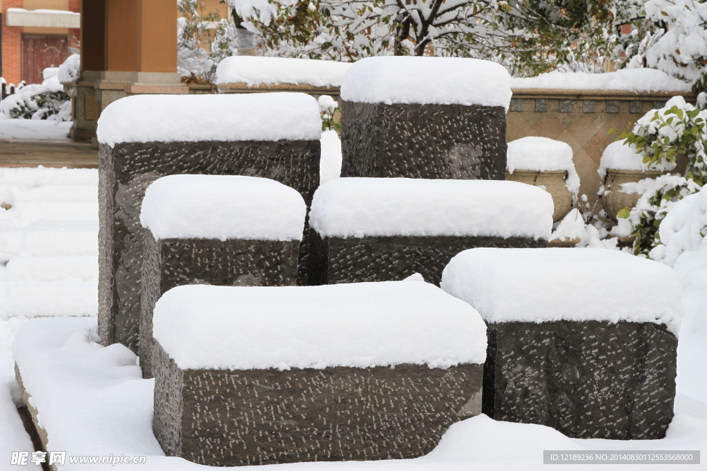 雪地小景