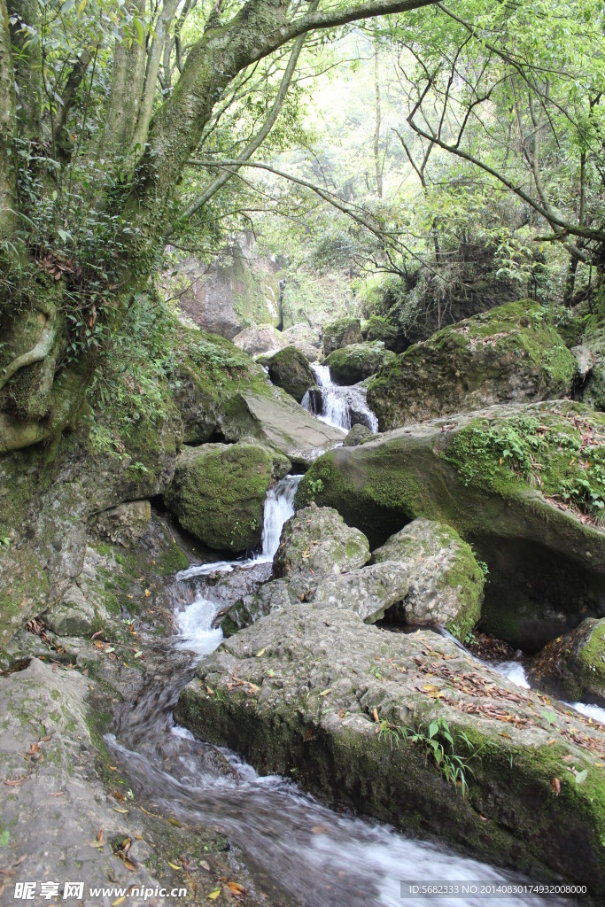 石上清泉