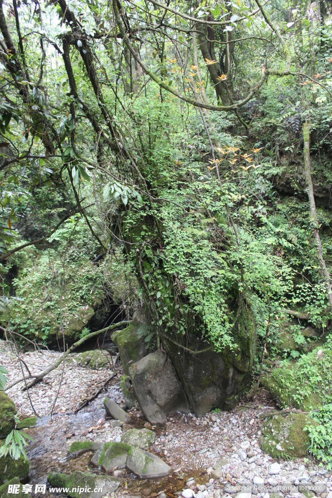 后山小景