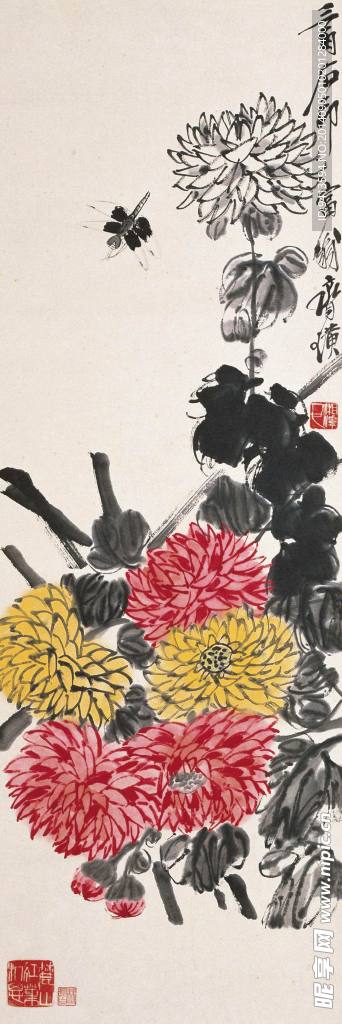 菊花蜻蜒