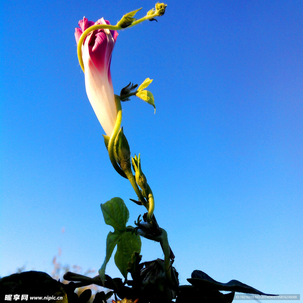 牽?；? />
                            </div>
                    </div>
                </div>



                <div   id=
