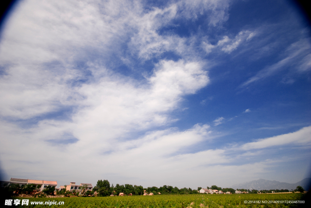 田野天空