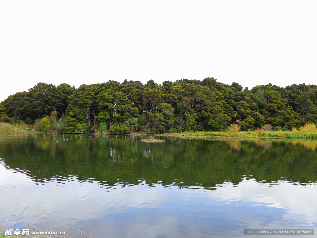 鴨子湖風景