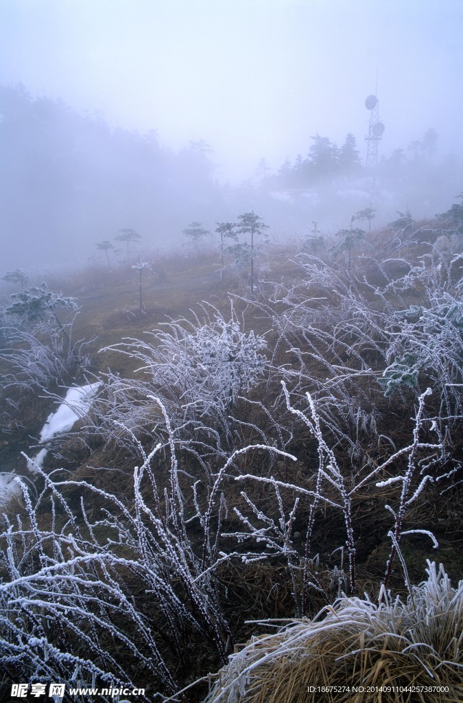 大雪迷幻