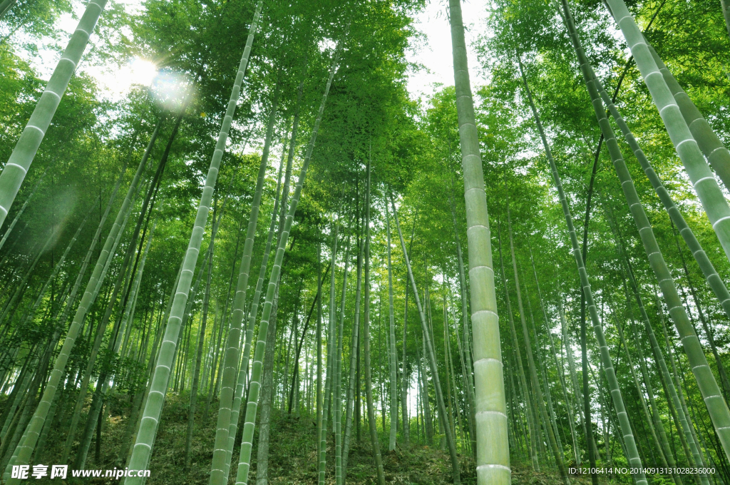竹林七賢