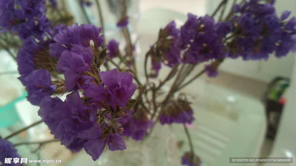 紫色插花