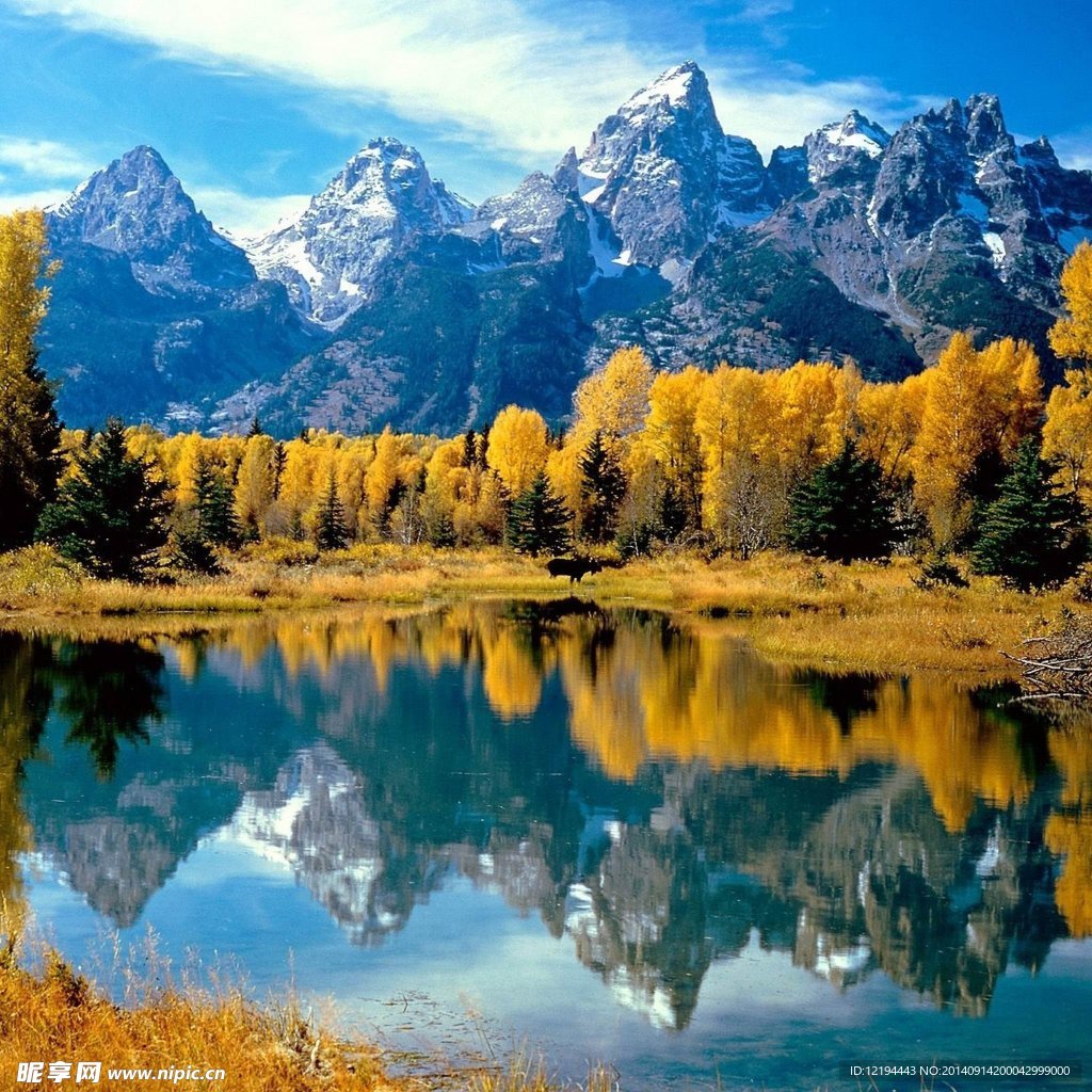 高山 綠水