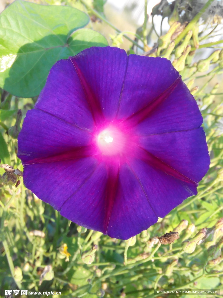 牽?；? />
                            </div>
                    </div>
                </div>



                <div   id=